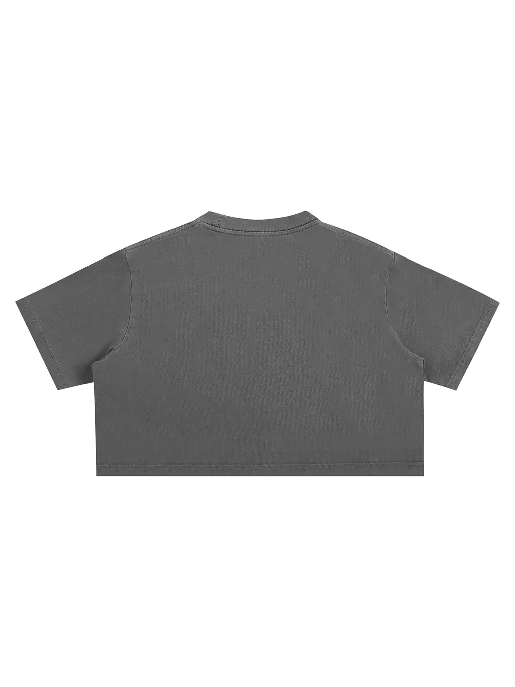 LUXURY TERMINAL - Snow Washed Crop Top