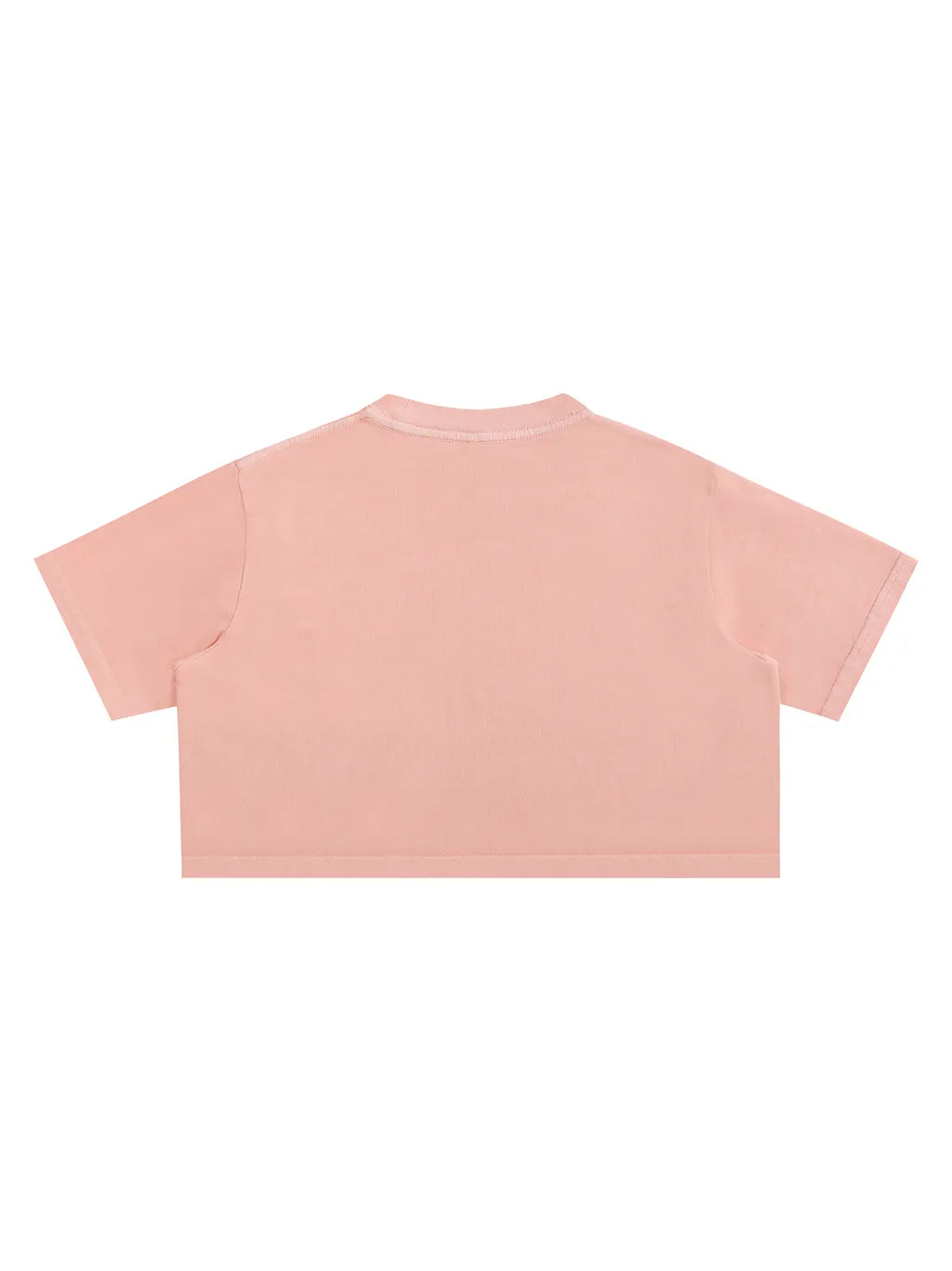 LUXURY TERMINAL - Snow Washed Crop Top