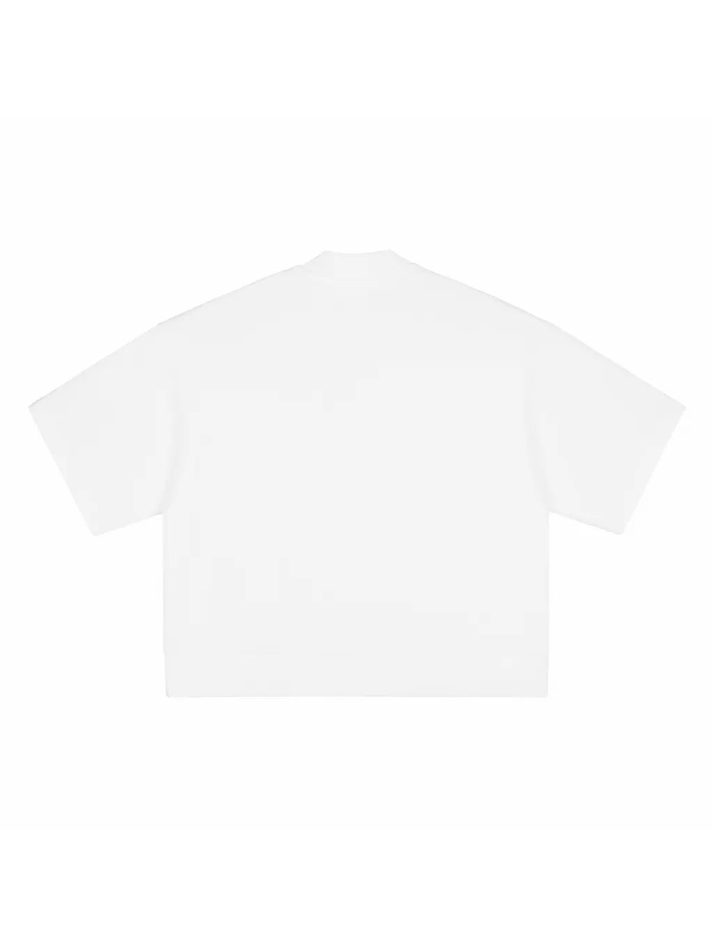 LUXURY TERMINAL - Heavyweight Oversized Mock Neck T-shirt