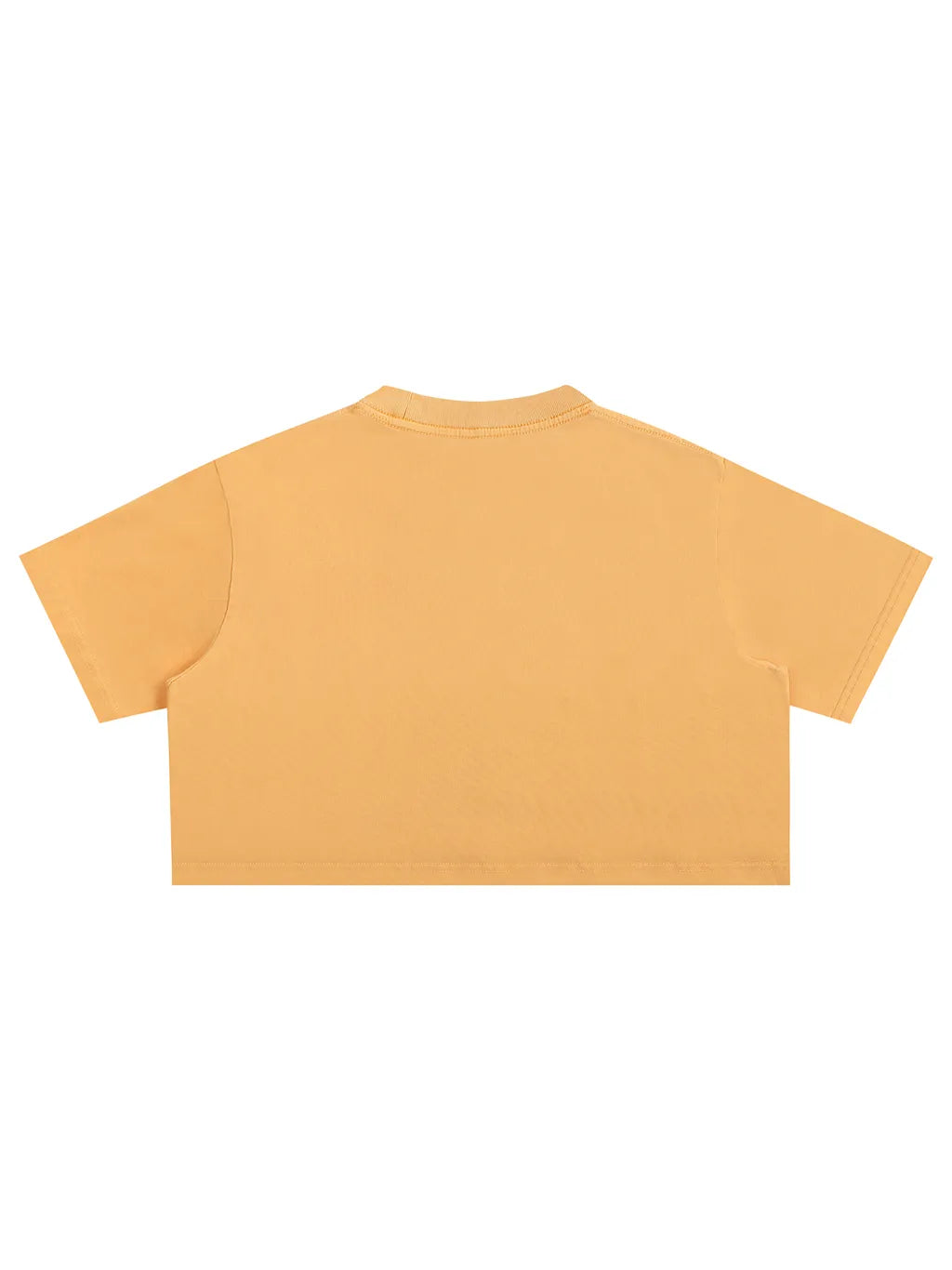 LUXURY TERMINAL - Snow Washed Crop Top
